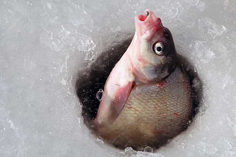 Itin efektyvus veidrodėlių ir taškelių panaudojimas Itin efektyvus veidrodėlių ir taškelių panaudojimas