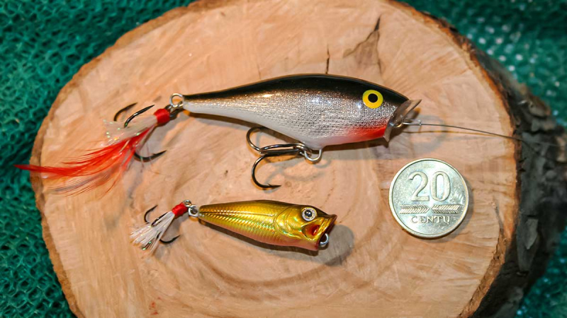 Ešerių gaudymas poperiais Ešerių gaudymas poperiais