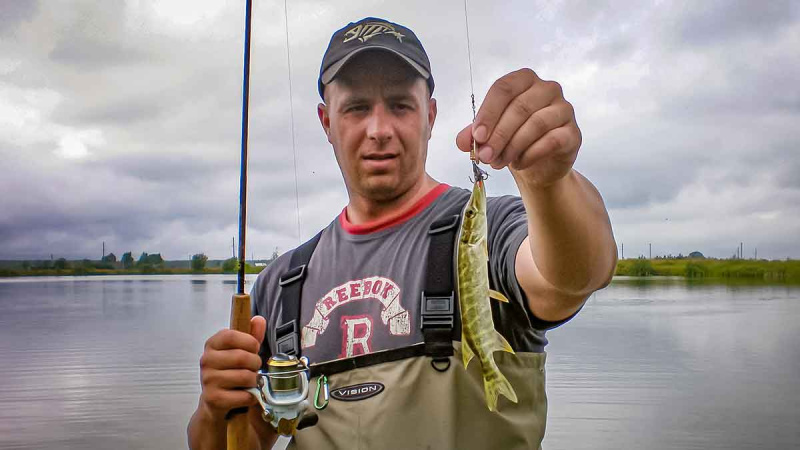 Ta gerai pažįstama mįslinga lydeka. Antra dalis Ta gerai pažįstama mįslinga lydeka. Antra dalis