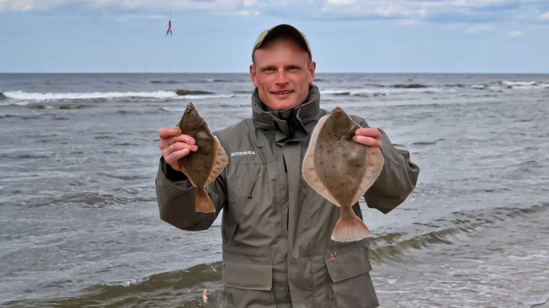 Kaip pagauti Baltijos plekšnę. Kada geriausiai žvejoti jūroje Kaip pagauti Baltijos plekšnę. Kada geriausiai žvejoti jūroje