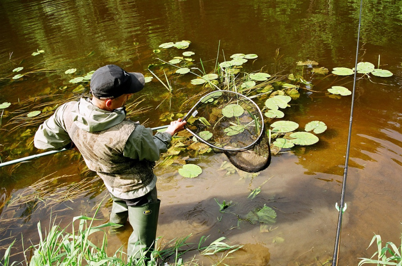 Karšių gaudymas pagal grafiką Karšių gaudymas pagal grafiką