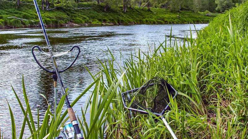 Kur teka Šešupė Kur teka Šešupė