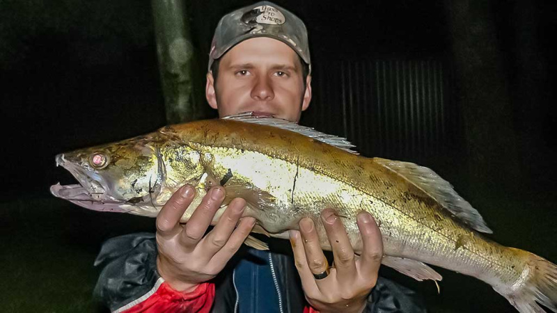 Spiningavimas naktį vėlyvą rudenį. Bendrais bruožais apie masalus Spiningavimas naktį vėlyvą rudenį. Bendrais bruožais apie masalus