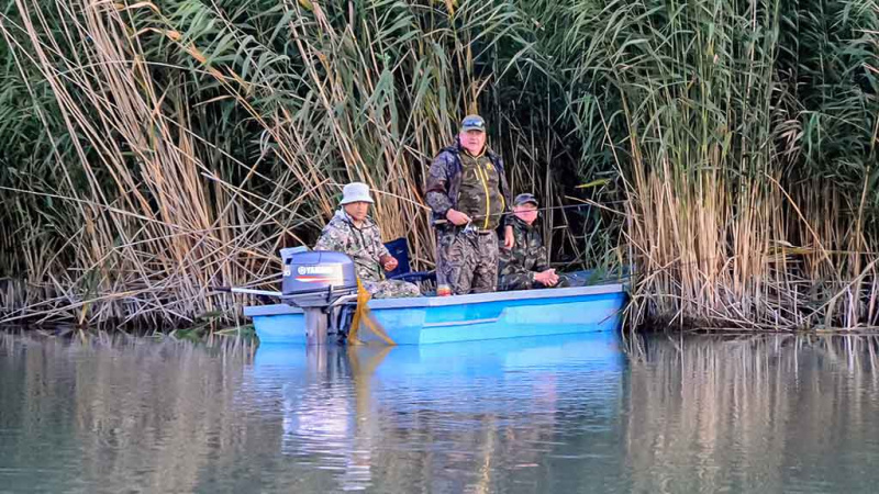 Kaip pagauti žalčiagalvį ir kitas Ilio žuvis Kaip pagauti žalčiagalvį ir kitas Ilio žuvis