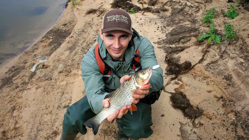 Paskutinės katino dienos Paskutinės katino dienos