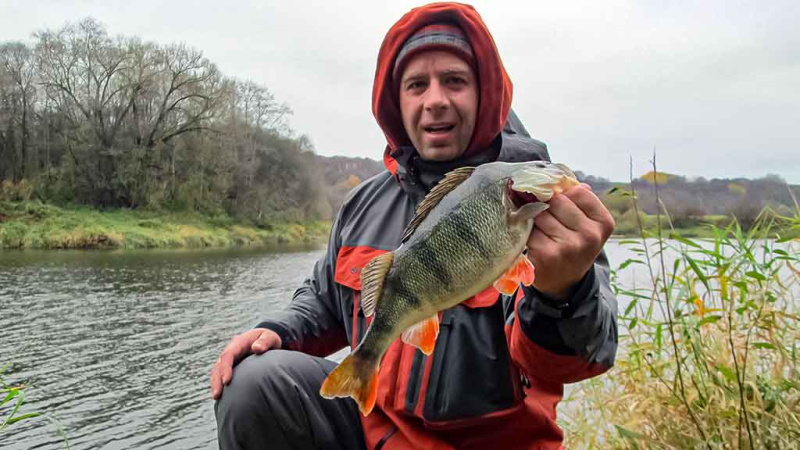 Galvakablis ar ofsetinė galvutė? Pirma dalis Galvakablis ar ofsetinė galvutė? Pirma dalis