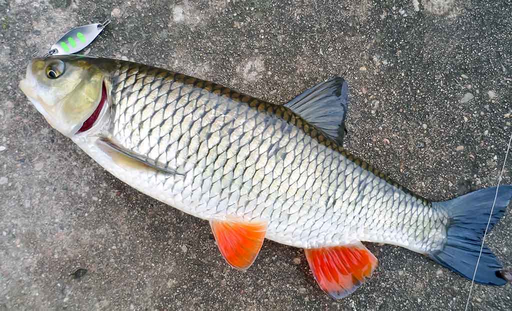 Klasika tapęs metalo gabalėlis. Antra dalis Klasika tapęs metalo gabalėlis. Antra dalis
