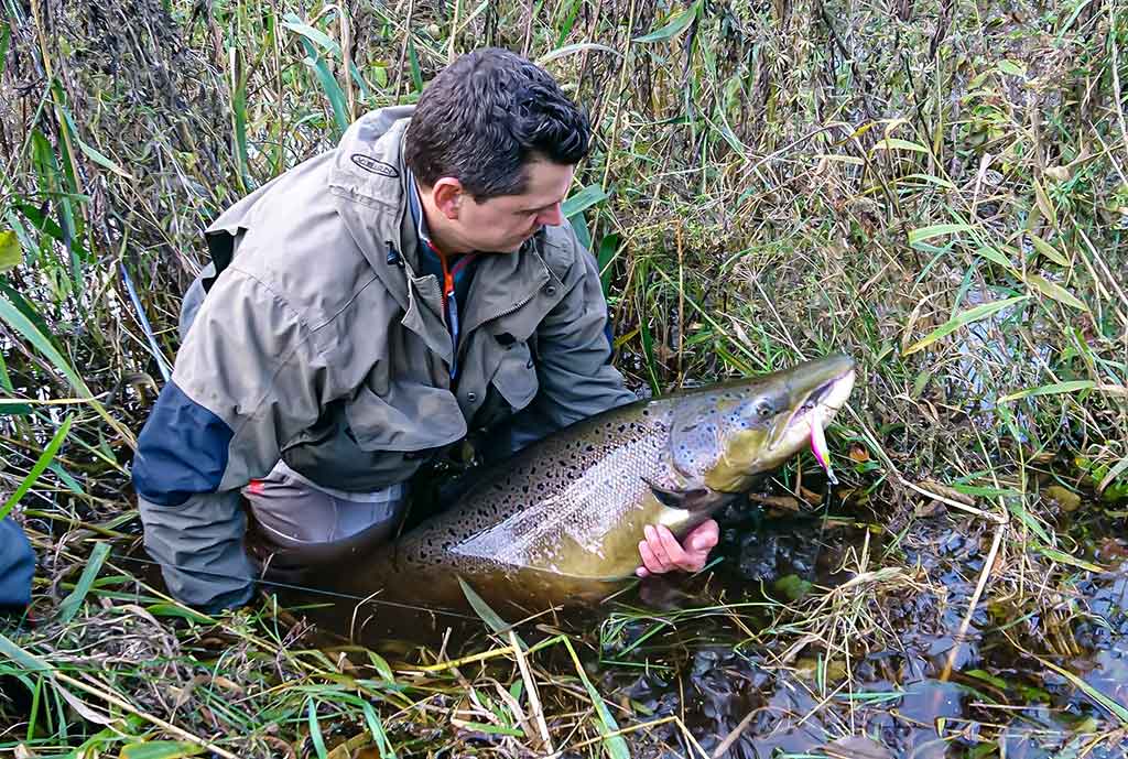 Ežerinio sterko paslaptis. Antra dalis Ežerinio sterko paslaptis. Antra dalis
