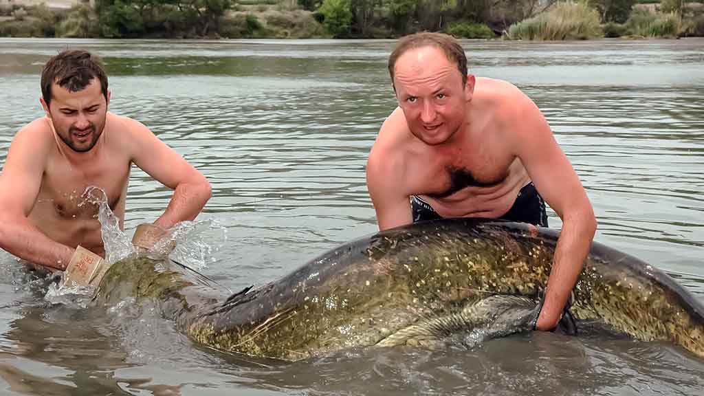 Šamas Šamas