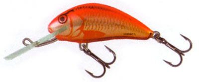 Salmo Hornet