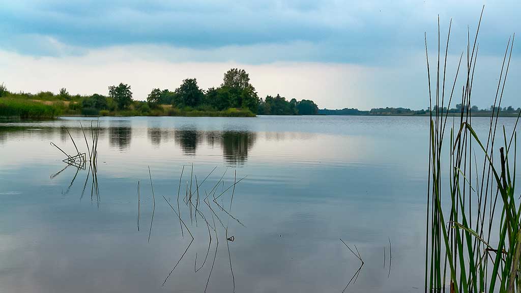 Sužvejokime retai pagaunamą žuvį. Amūras – pliusas ar minusas mūsų vandenims?