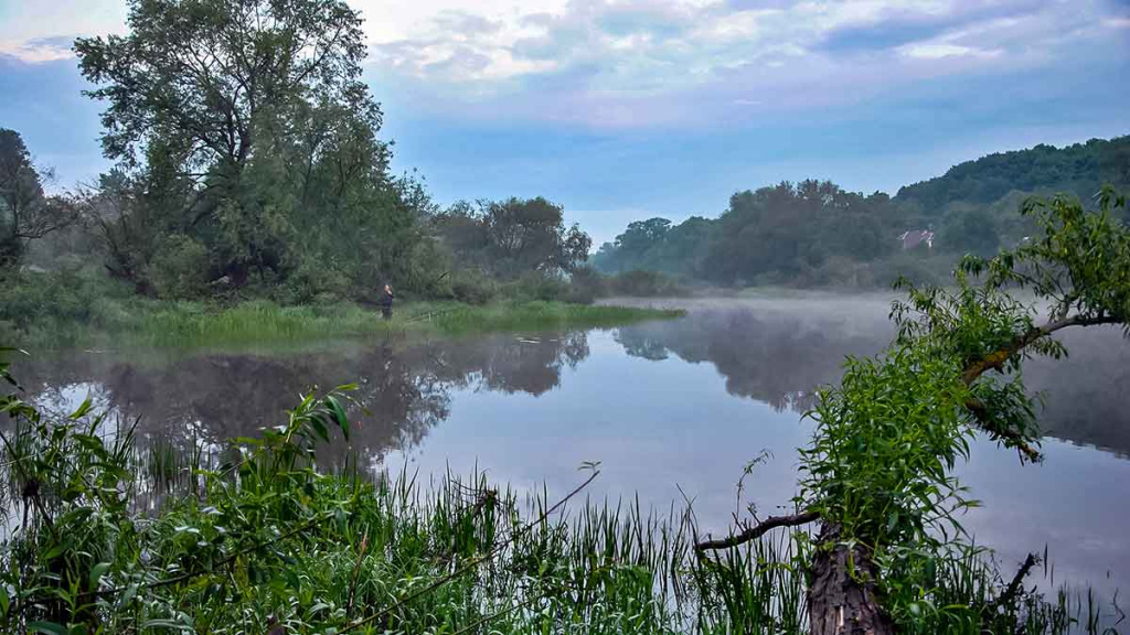 Prie lelijos lapų Prie lelijos lapų