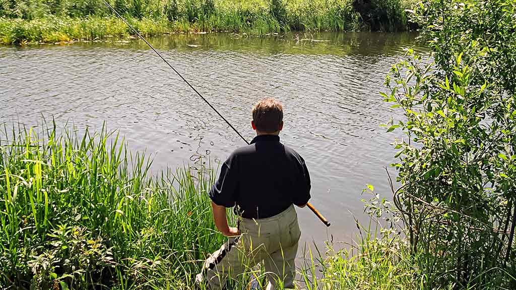 Balų valdovo kaprizai. Antra dalis Balų valdovo kaprizai. Antra dalis