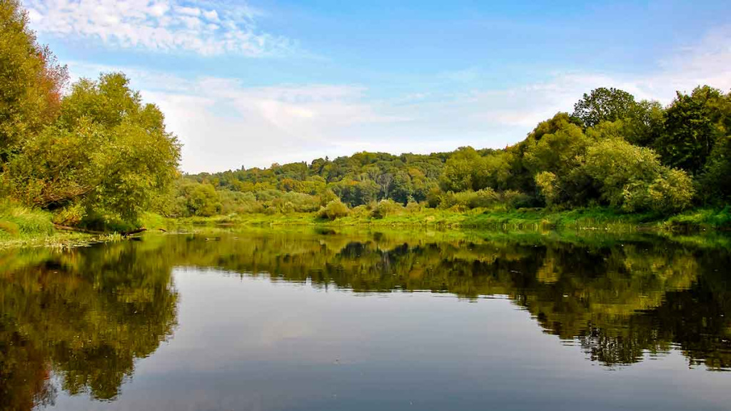 Karosus – dugnine meškere. Pirma dalis