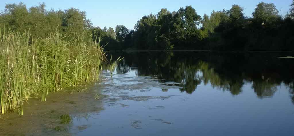 Ežeras