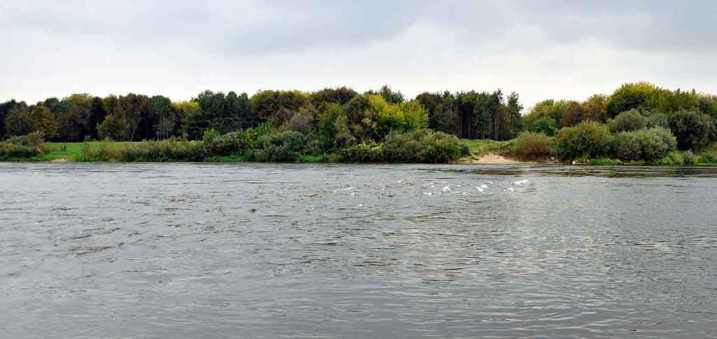 Bendrais bruožais apie salačiams skirtus masalus