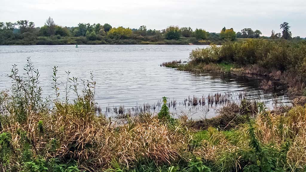 Vieną rudenį prie Nemuno dambų Vieną rudenį prie Nemuno dambų