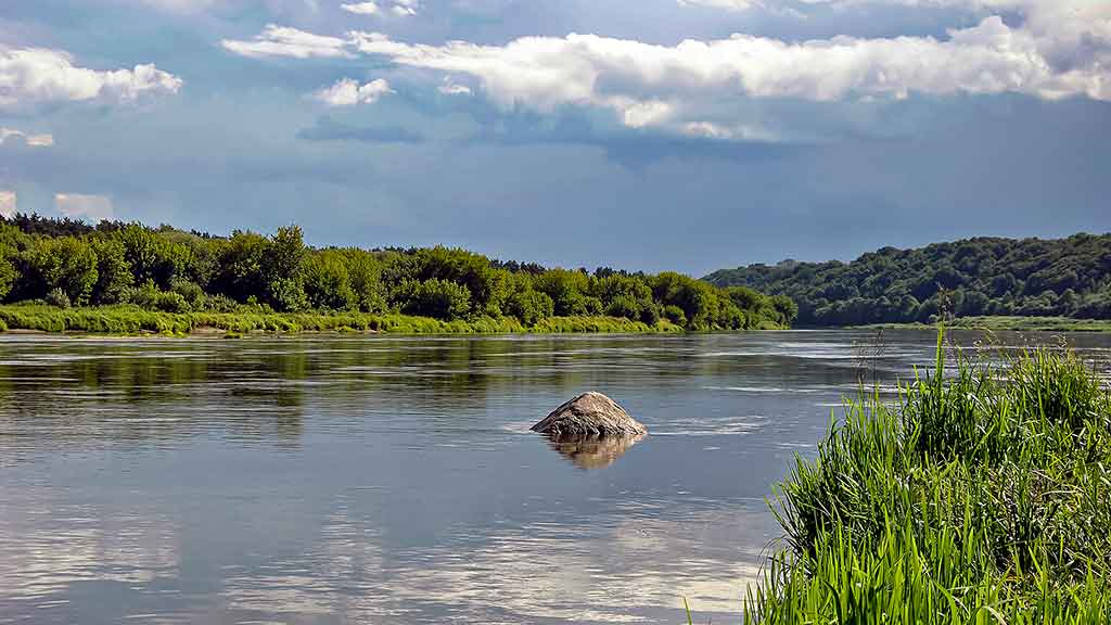 Šapalai mėgsta saulėtą orą Šapalai mėgsta saulėtą orą