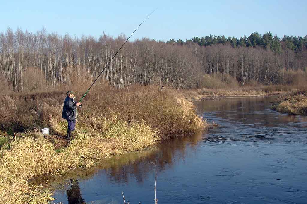 Žiobrių meškeriojimas plūdine – privalumai ir trūkumai Žiobrių meškeriojimas plūdine – privalumai ir trūkumai