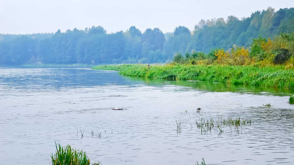 Šapalų žūklė, kai ateina gegužis. Pirma dalis Šapalų žūklė, kai ateina gegužis. Pirma dalis