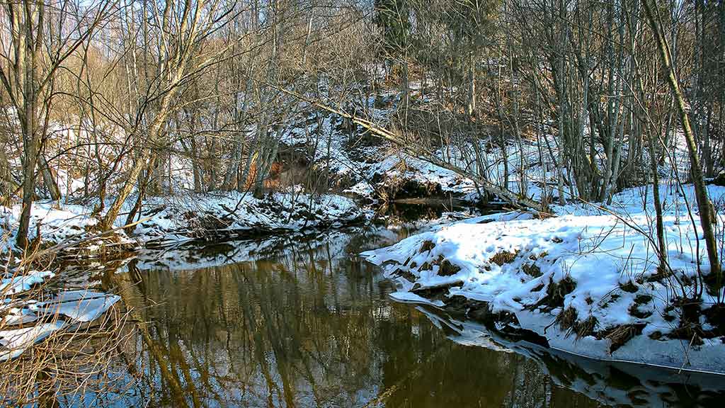 Pirmųjų snaigių burtai Pirmųjų snaigių burtai