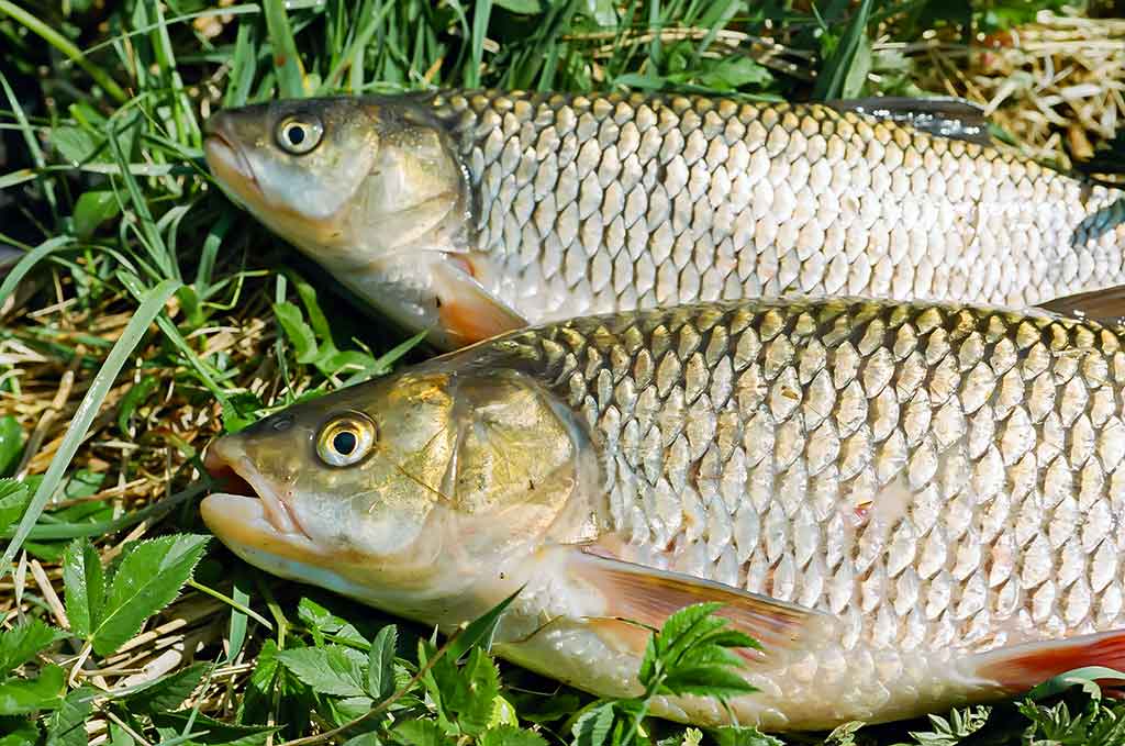 Dar šis bei tas apie kabliukus. Pirma dalis Dar šis bei tas apie kabliukus. Pirma dalis