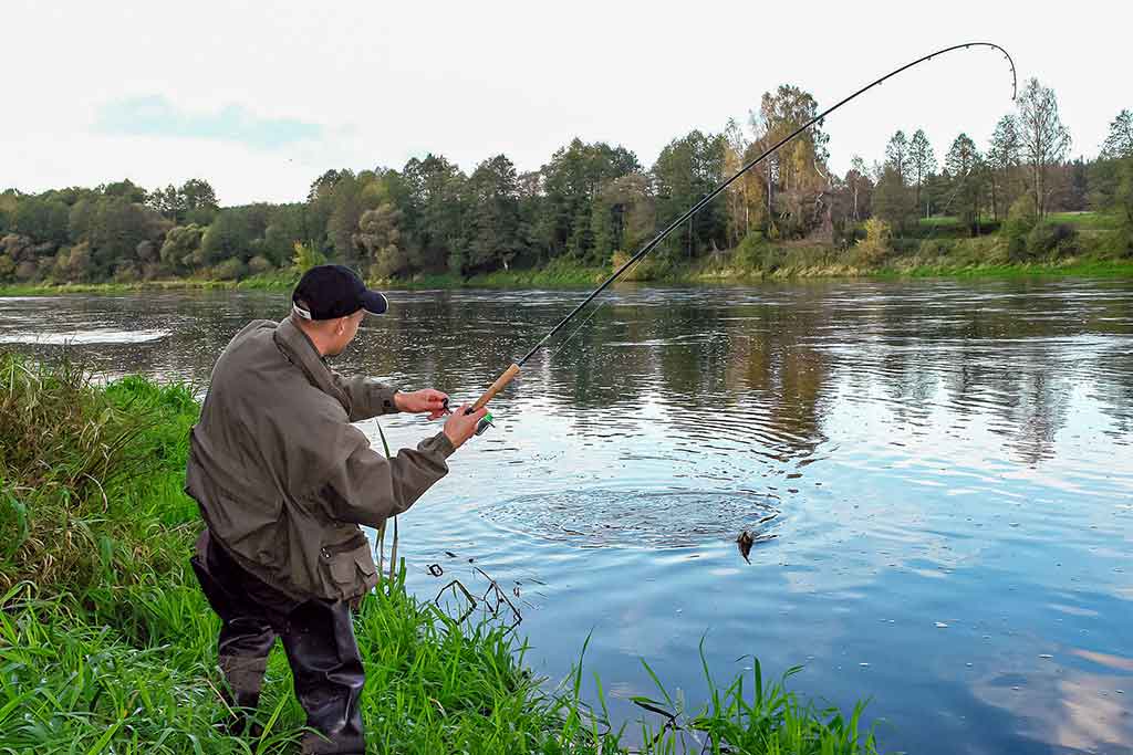Geriau trumpas ar ilgas kotas? Antra dalis