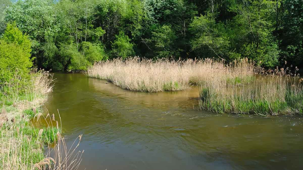 Šapalų žūklė, kai ateina gegužis. Pirma dalis Šapalų žūklė, kai ateina gegužis. Pirma dalis