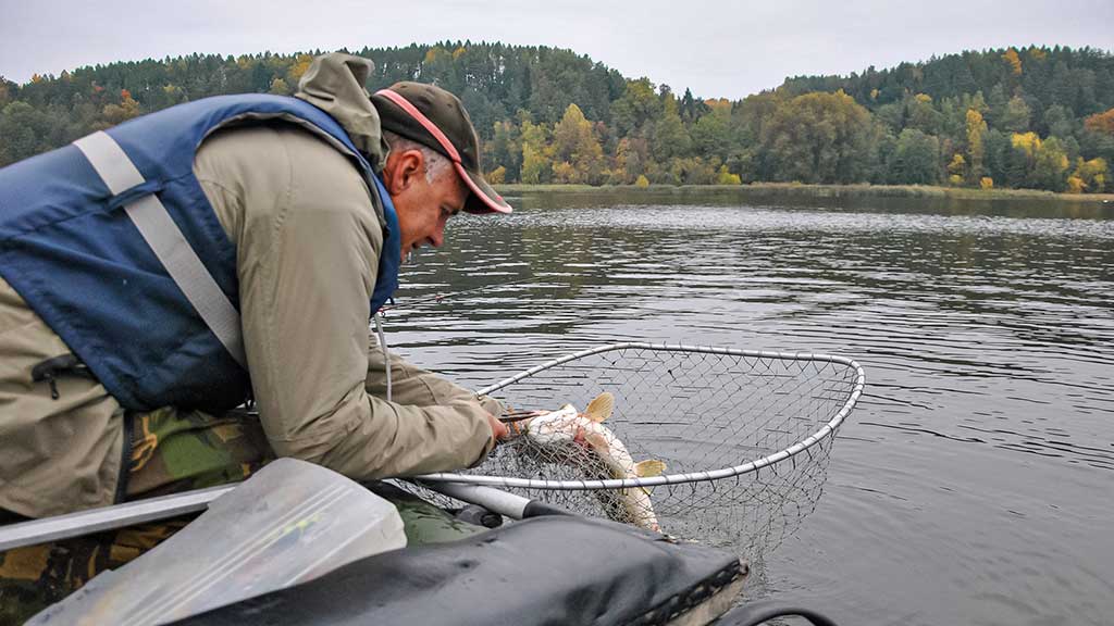 Ruduo, velkė ir minnow vobleriai. Trečia dalis Ruduo, velkė ir minnow vobleriai. Trečia dalis