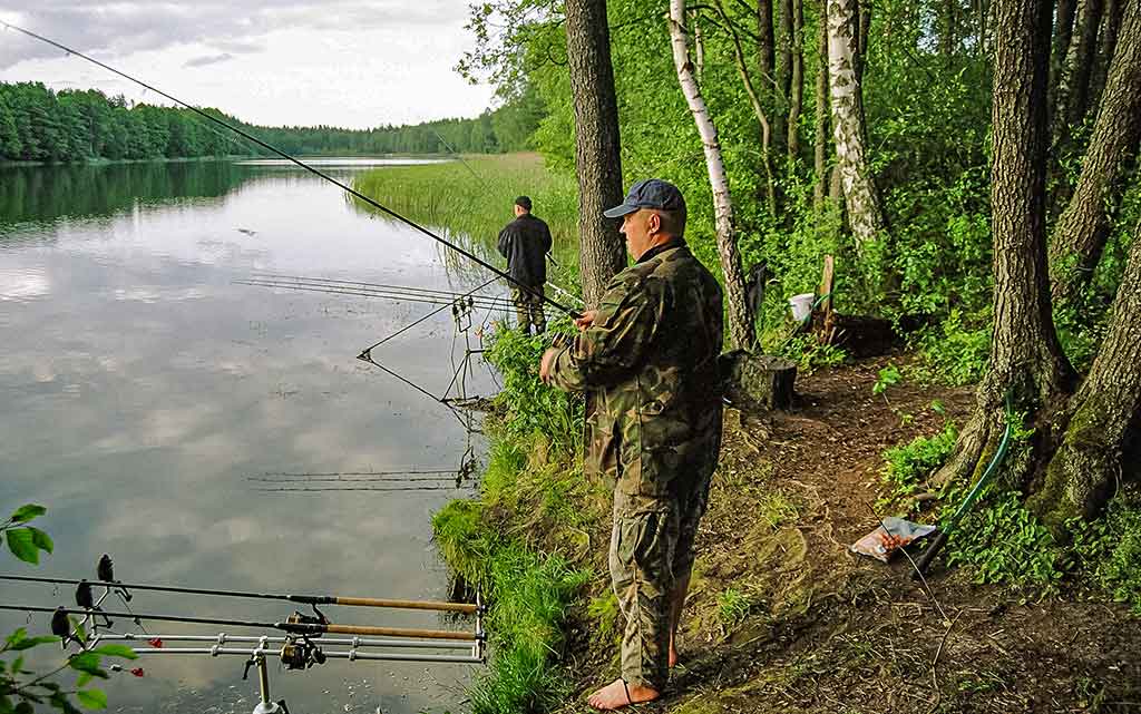Karpių gaudymo vingrybės. Įranga ir sistemėlės
