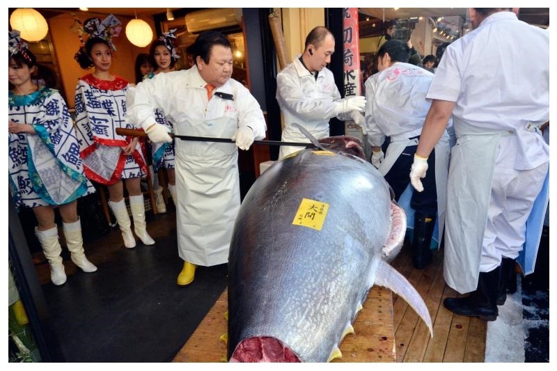 Tunas