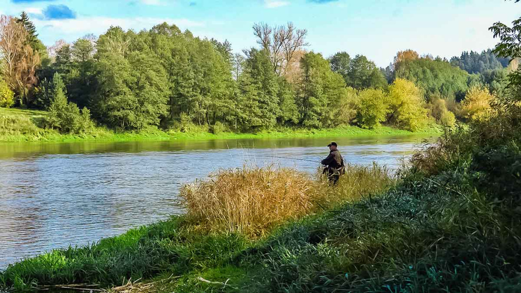 Nemunas nuo Merkinės iki Alytaus. Retai žvejų lankomos vietos