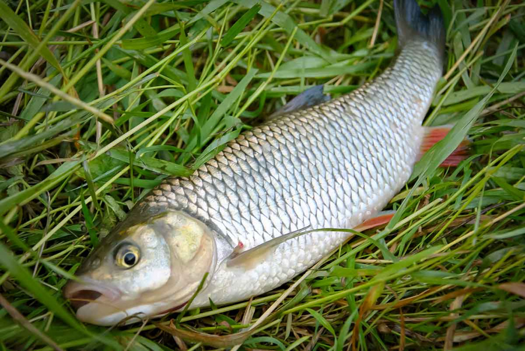 Apie saulę, vėją ir lietų. Antra dalis Apie saulę, vėją ir lietų. Antra dalis