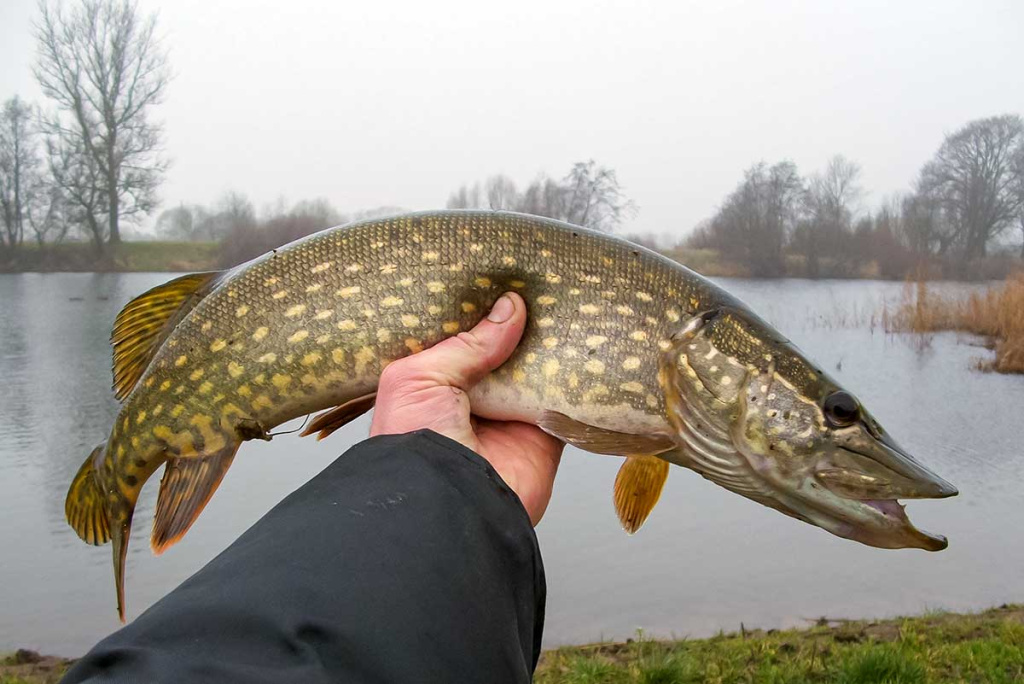 Apie saulę, vėją ir lietų. Antra dalis Apie saulę, vėją ir lietų. Antra dalis