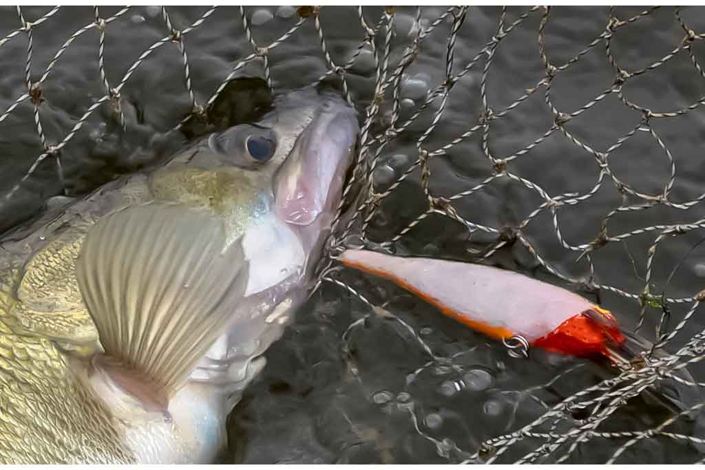 Voblerių dažymas. Ką dar galėčiau pasakyti...