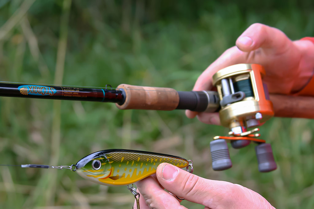 Jerk bait – stambių plėšrūnų masalas
