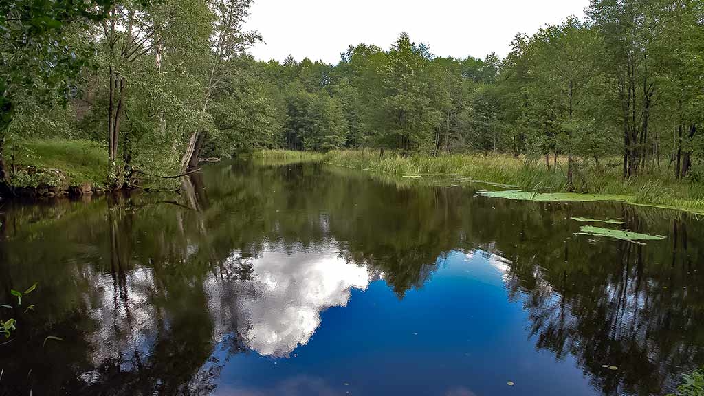 Balų valdovo kaprizai. Pirma dalis
