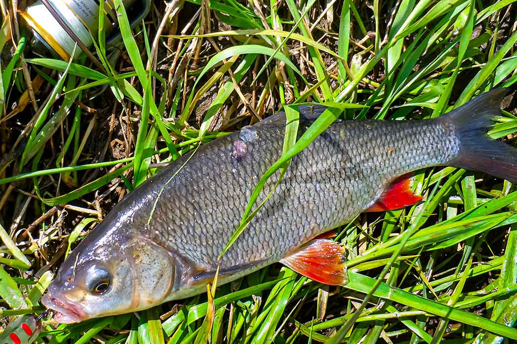 Klasika tapęs metalo gabalėlis. Antra dalis Klasika tapęs metalo gabalėlis. Antra dalis