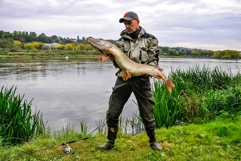 Salmo „Elite Jig&Twitch“ – didelės galimybės už mažą kainą Salmo „Elite Jig&Twitch“ – didelės galimybės už mažą kainą