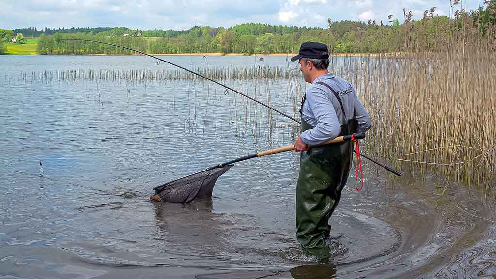 Karpių gaudymo vingrybės. Įranga ir sistemėlės