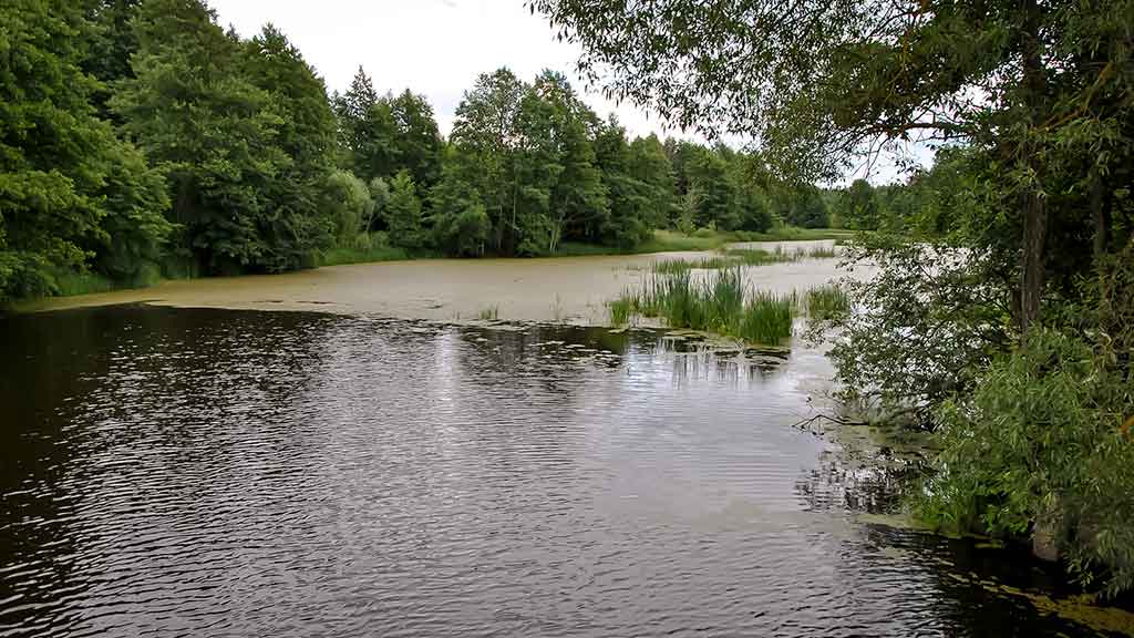 Brėkštančio ryto žuvys. Pirma dalis