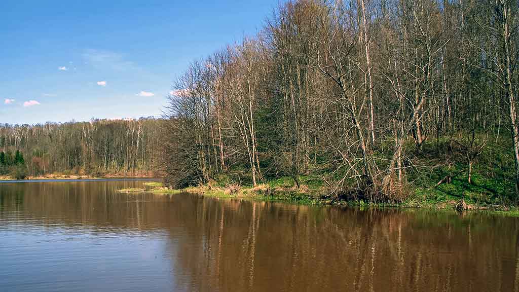 Nubudusio vandens vilionės. Pirma dalis