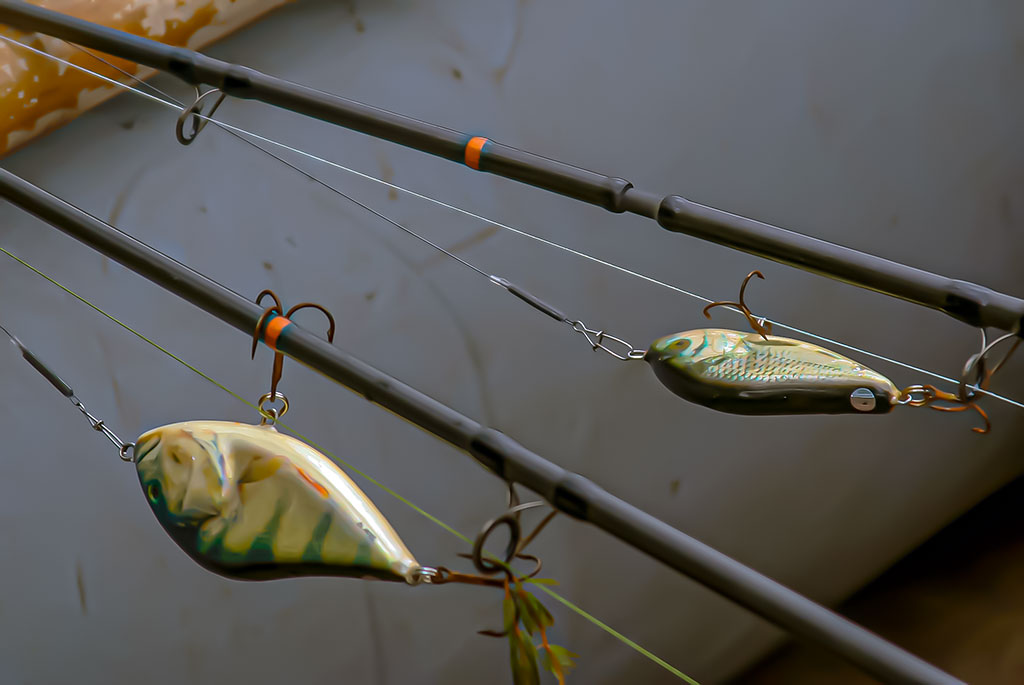 Jerk bait – stambių plėšrūnų masalas