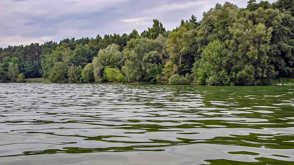 Kuomet sterkai pakyla. Pirma dalis Kuomet sterkai pakyla. Pirma dalis