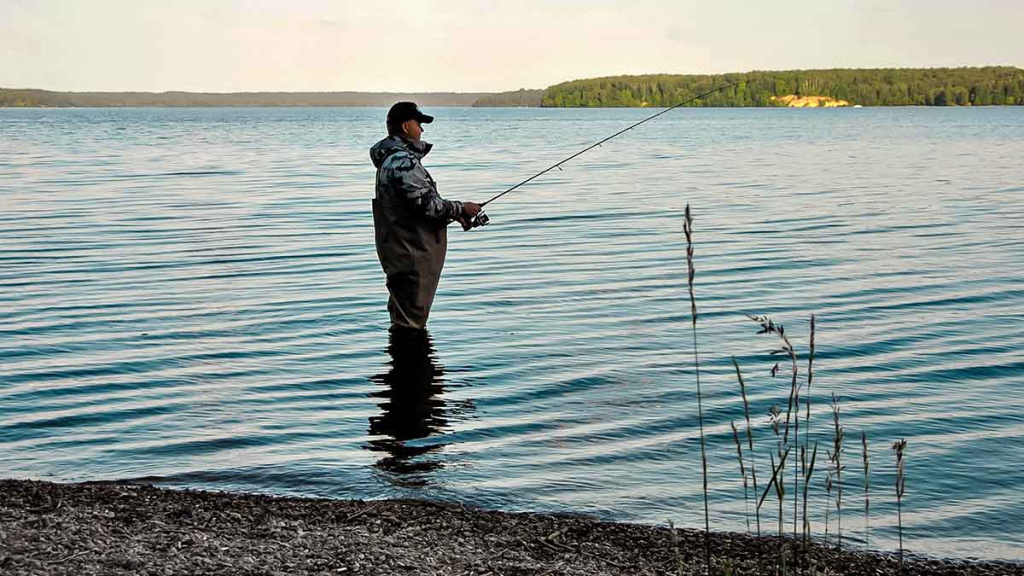 Sėkmingi žingsniai gaudant sterką Sėkmingi žingsniai gaudant sterką
