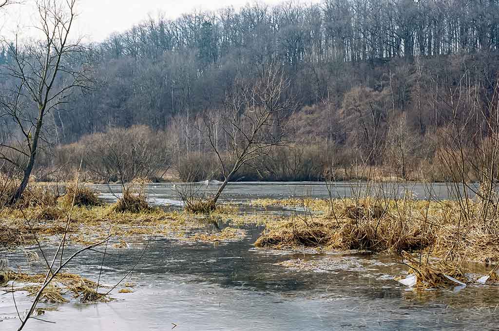 Kaip pagauti lyną?