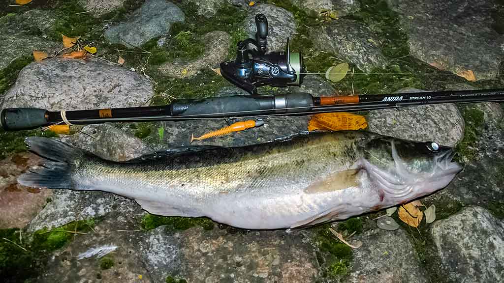 Sterkas Sterkas