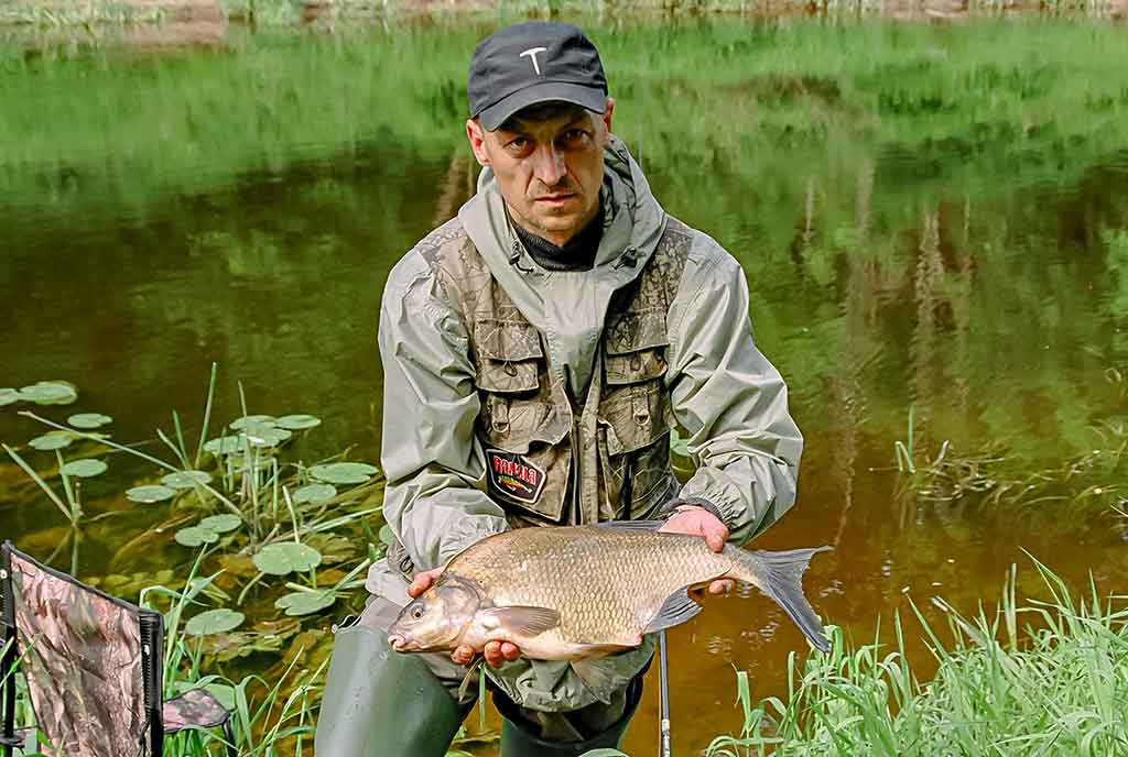 Karšis Karšis