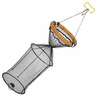 Tinklelis Balzer