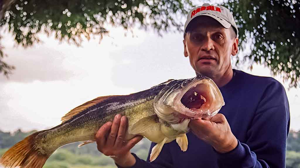 Tvisteris – ne toks paprastas, kaip atrodo